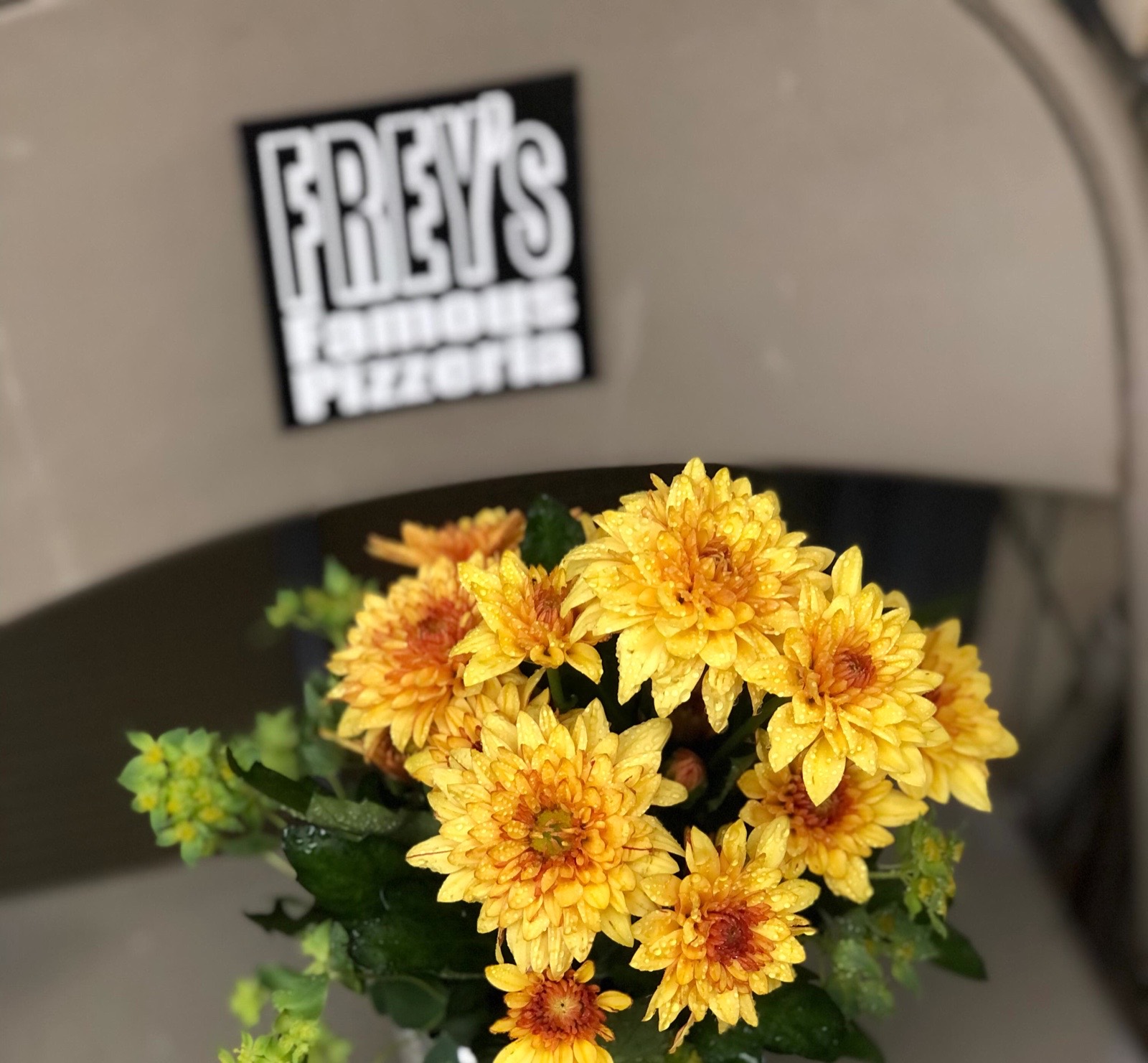 「FREY's Famous Pizzeria」のステッカーが貼られた折りたたみ椅子に置かれた、黄色い菊の花。